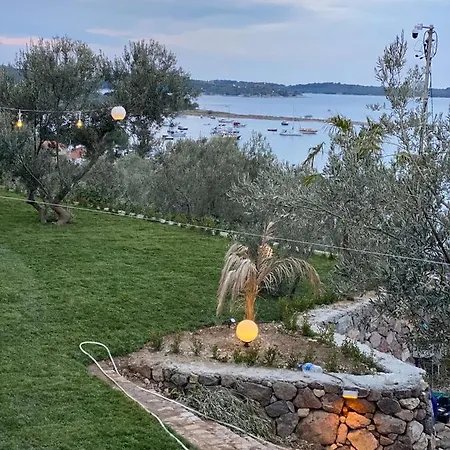 Tiny Bademli *