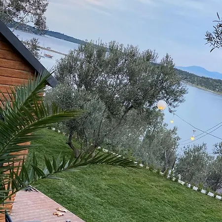Tiny Bademli *